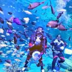AQUAWALK (THAILAND) CO. LTD