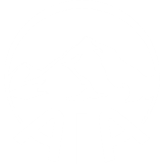 AIA Insurance Logo